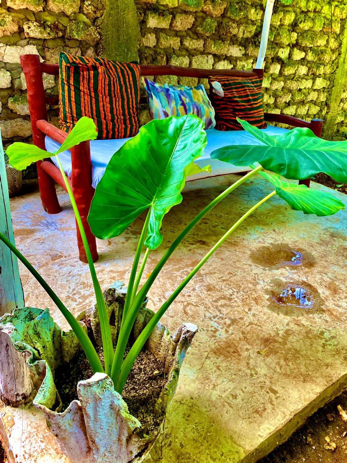 African Hut Tiny Cottage Diani Beach Eksteriør billede